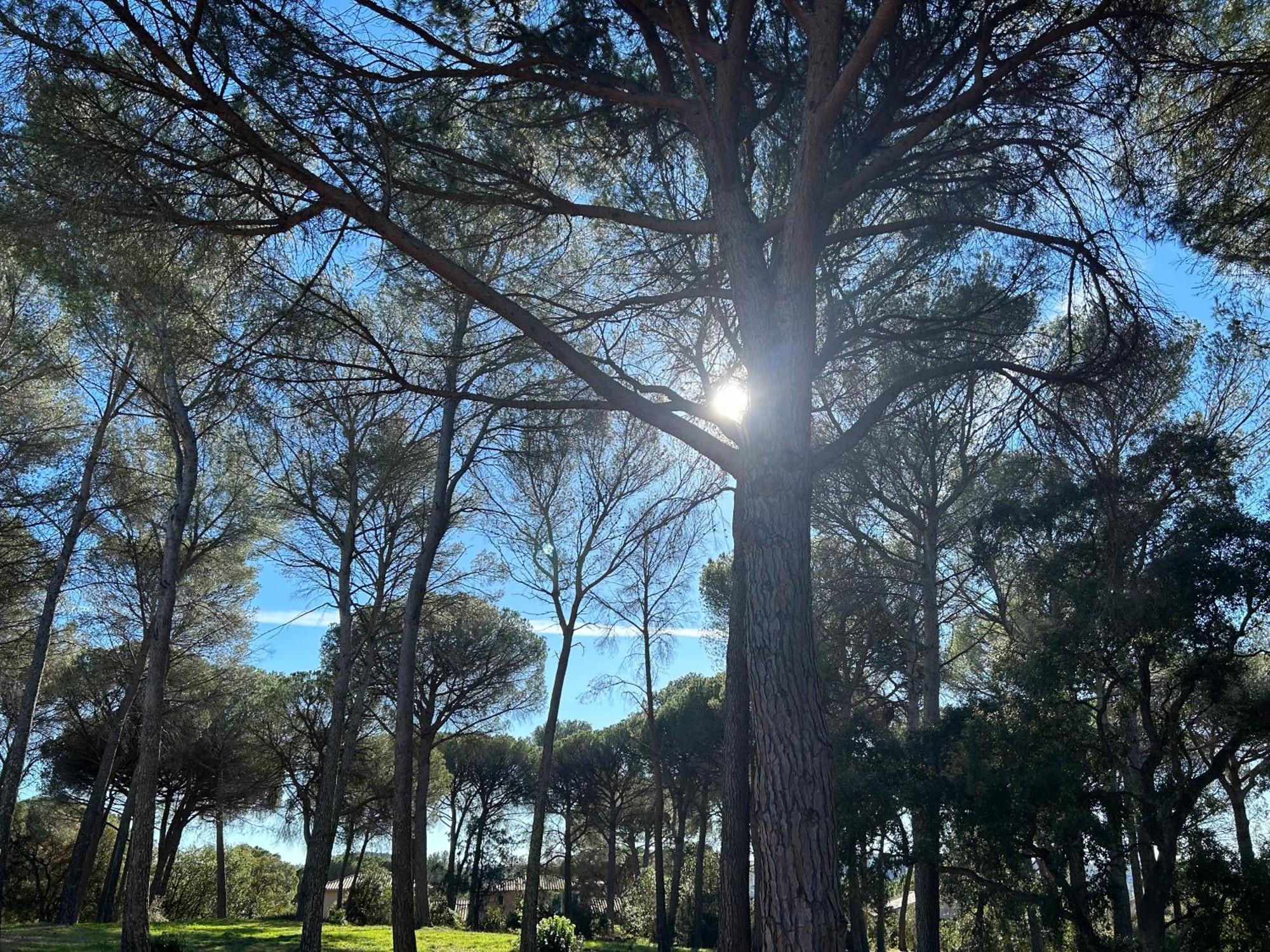 Domaine Valescure Appartement 1 Ou 2 Pieces Vue Jardin Ou Piscine Saint-Raphael (Var) Exterior foto